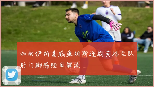 加纳伊纳基威廉姆斯迎战英格兰队射门脚感赔率解读