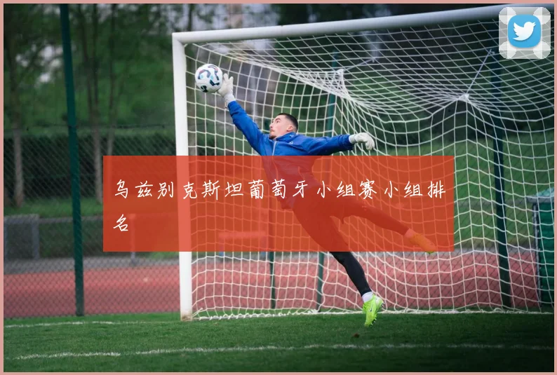 乌兹别克斯坦葡萄牙小组赛小组排名