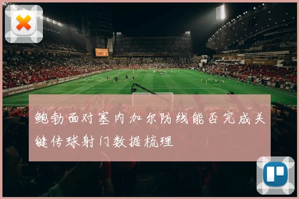 鲍勃面对塞内加尔防线能否完成关键传球射门数据梳理