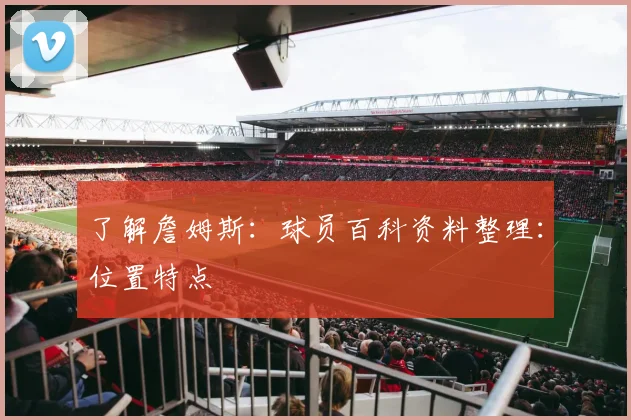 了解詹姆斯：球员百科资料整理：位置特点